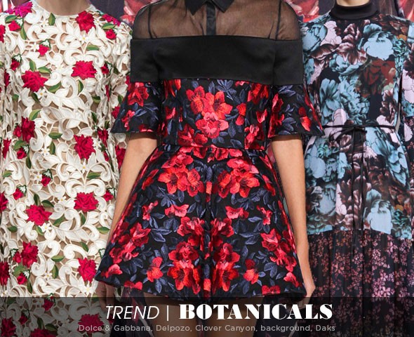 botanical-trend