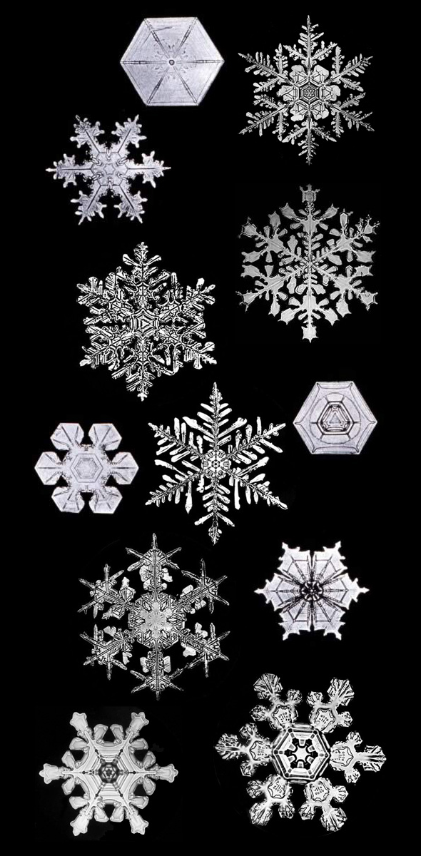 snowflakes_bentley
